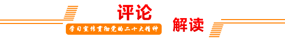评论解读