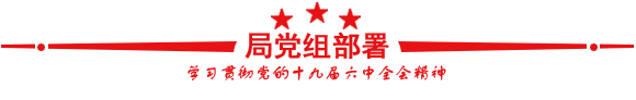 学习贯彻党的十九届六中全会精神
